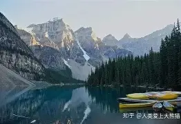 关于Rookie会首发搭档吗细节曝光的信息